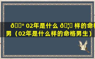 💮 02年是什么 🦋 样的命格男（02年是什么样的命格男生）